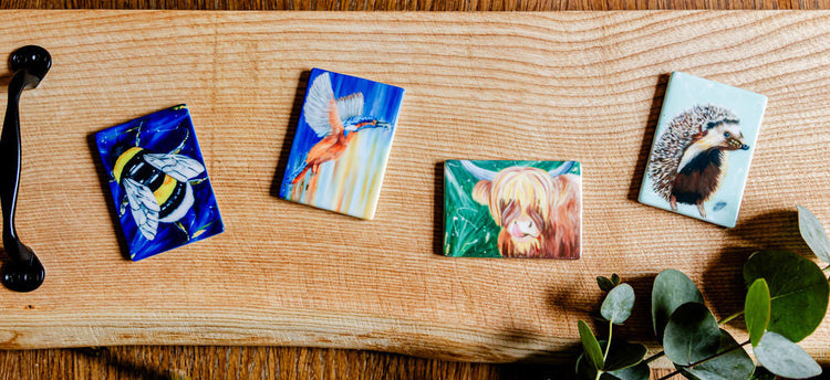 Ceramic Magnets
