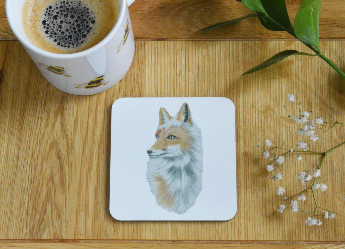 Pack of Fox Coasters
