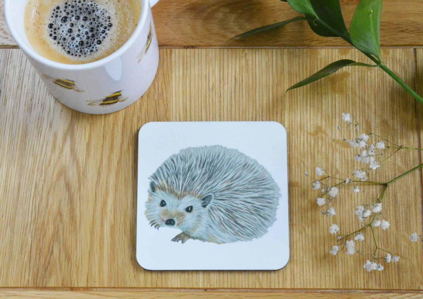 Pack of Hedgehog Coasters