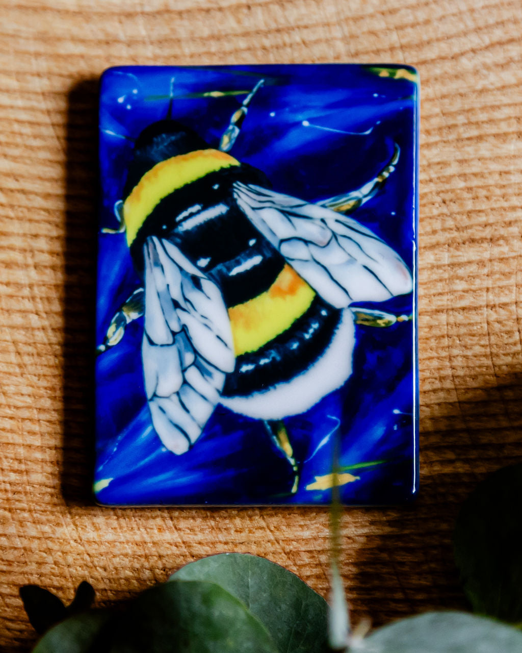Ceramic Magnet