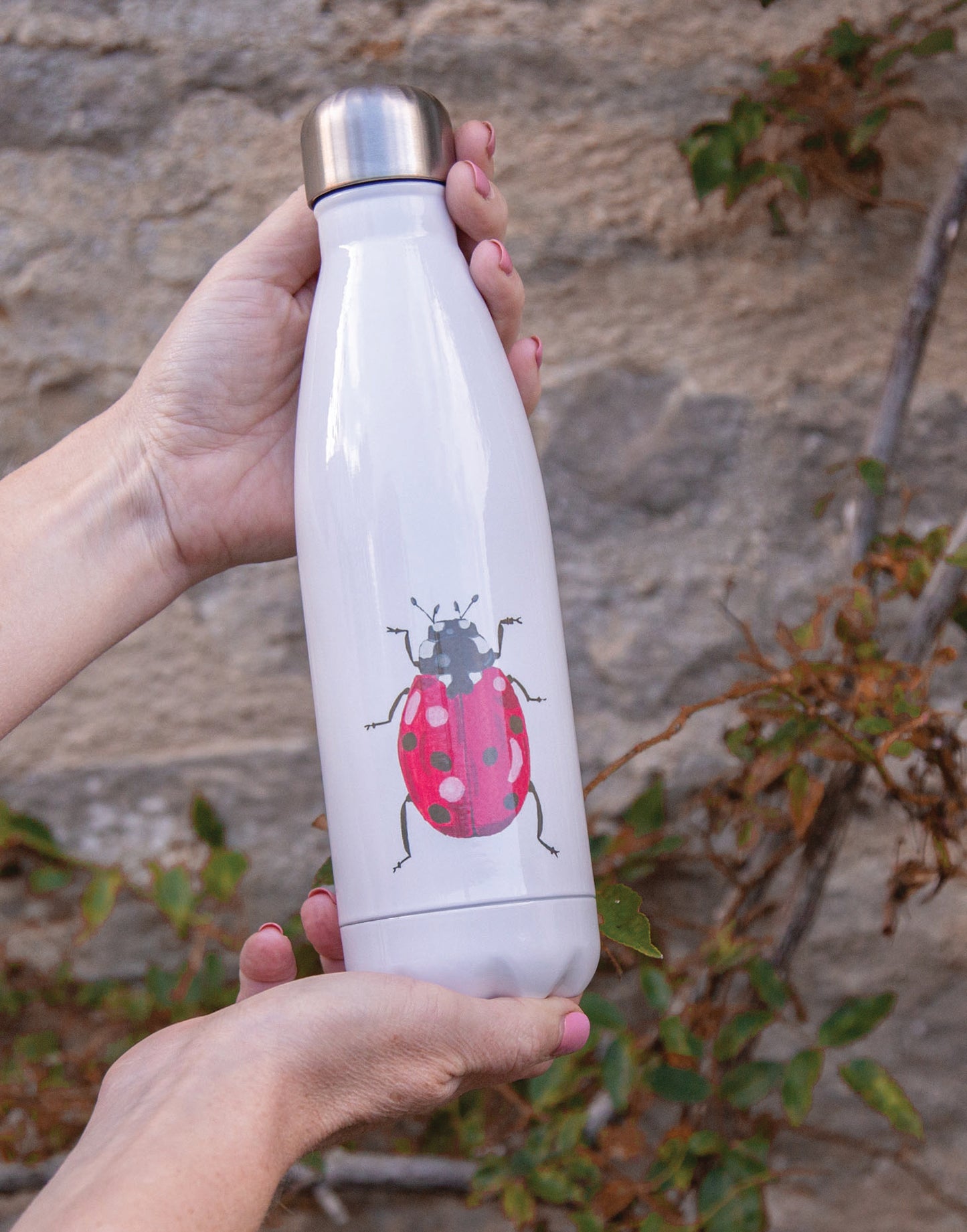 500ml Ladybird Metal Water Bottle