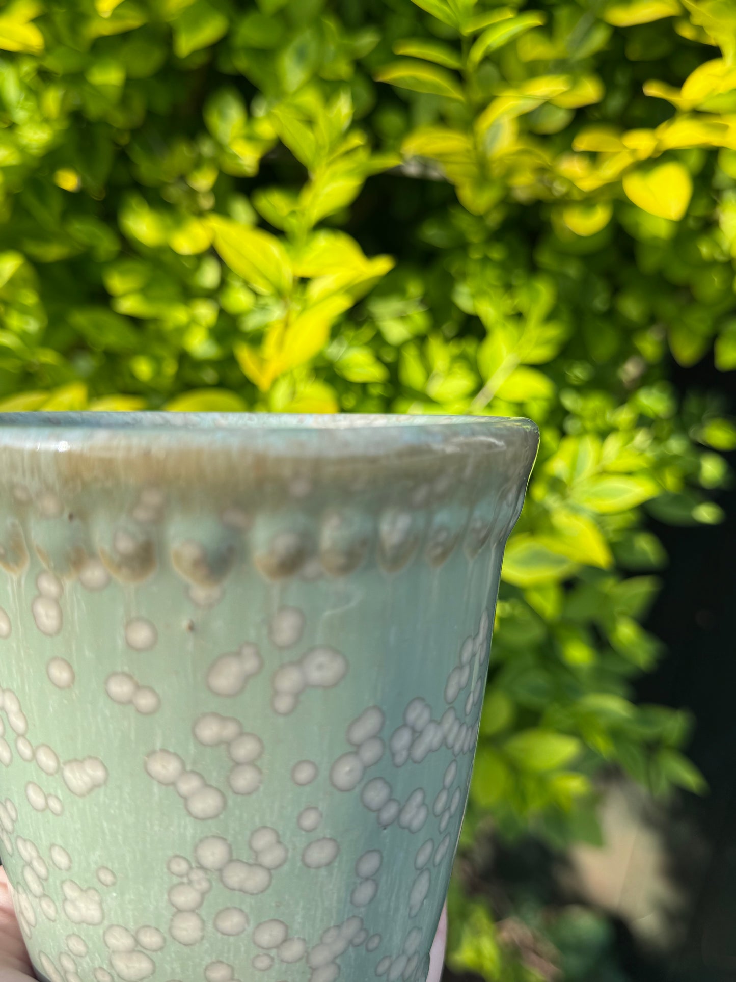The Potting Shed Candle